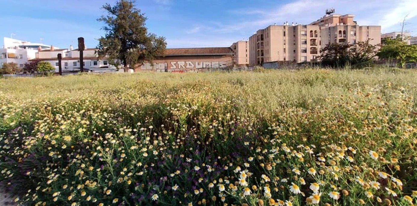 SUELO URBANO NO CONSOLIDADO A LA VENTA - OFERTA COMPETITIVA