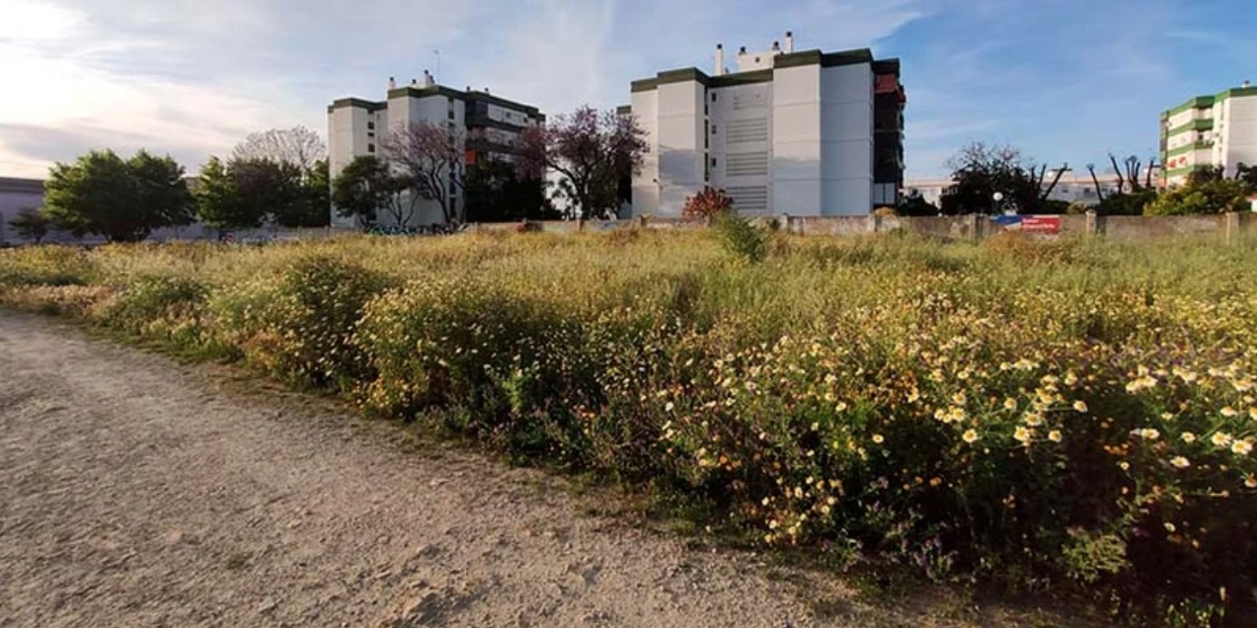 SUELO URBANO NO CONSOLIDADO A LA VENTA - OFERTA COMPETITIVA